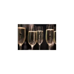 Cabernet champagne 24 cl. - 6 stk.