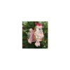 Glasornement - Pink Puddel