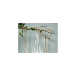 Hængeplante "Philodendron"