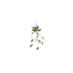 Hængeplante "Philodendron"