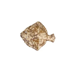 Pigvar i keramik 14 cm. - Brun