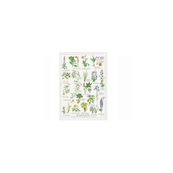 Plakat - "Giftige planter" - A2