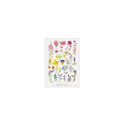 Plakat - "spiselige blomster" - A2