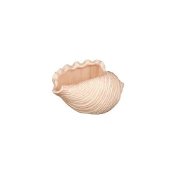 Vase ''Shell'' - Konkylie