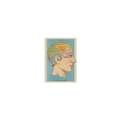 Vintage plakat Hjerne - 50x70 cm.
