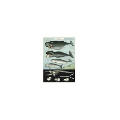 Vintage plakat Hvaler - 50x70 cm.
